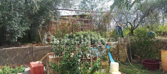 Grundstück in Civitella Paganico, Italy 50000m², Nr. 159896 10