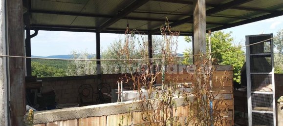 Grundstück in Civitella Paganico, Italy 50000m², Nr. 159896 9