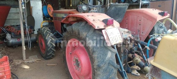 Grundstück in Civitella Paganico, Italy 50000m², Nr. 159896 12