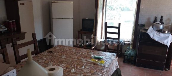 Grundstück in Civitella Paganico, Italy 50000m², Nr. 159896 7