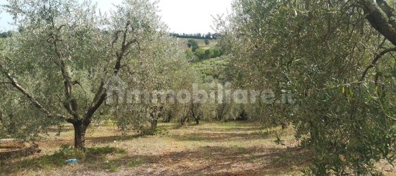 Grundstück in Civitella Paganico, Italy 50000m², Nr. 159896 3