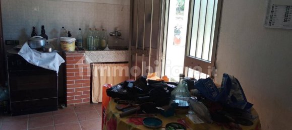 Grundstück in Civitella Paganico, Italy 50000m², Nr. 159896 6