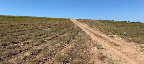 Terrain à Noto, Italy 180130m² No. 228250 10