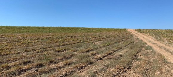 Terrain à Noto, Italy 180130m² No. 228250 13