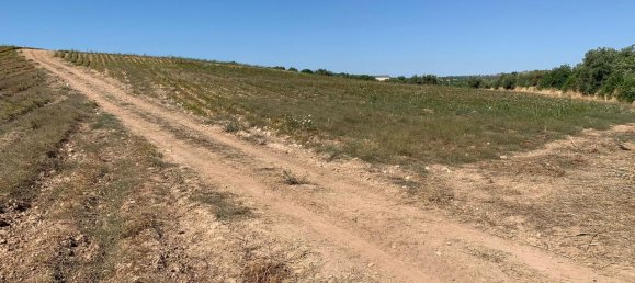 Terrain à Noto, Italy 180130m² No. 228250 16