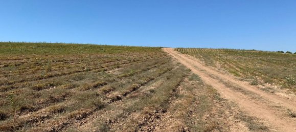 Terrain à Noto, Italy 180130m² No. 228250 11