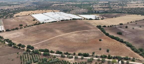 Terrain à Noto, Italy 180130m² No. 228250 4