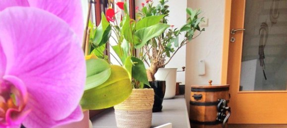 3 bedrooms House in Rhineland-Palatinate, Germany No. 336414 6