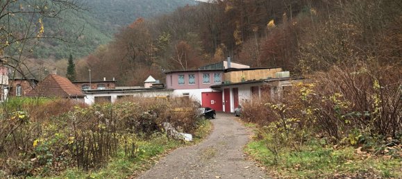  مستودع في Bad Durkheim, Germany 3000متر مربع رقم 136691 9