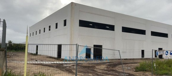 3 rooms Warehouse in Pignataro Maggiore, Italy No. 146711 3