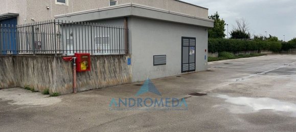3 rooms Warehouse in Pignataro Maggiore, Italy No. 146711 4