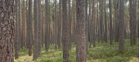  قطعة أرض في Furth, Germany رقم 132195 2