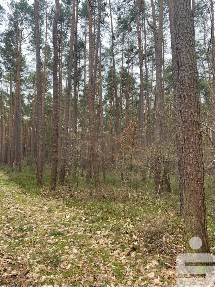  قطعة أرض في Furth, Germany رقم 132195