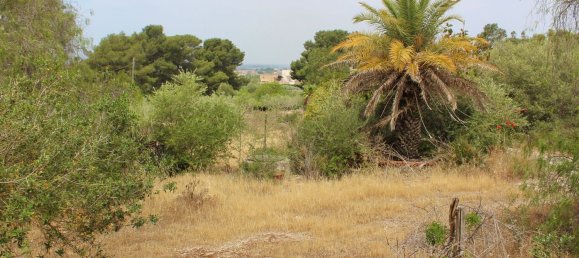 6 rooms Villa in Marsala, Italy No. 137148 5