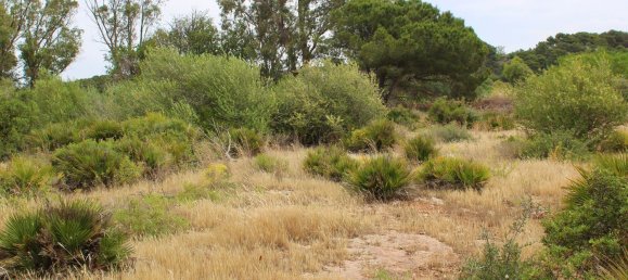 6 rooms Villa in Marsala, Italy No. 137148 7