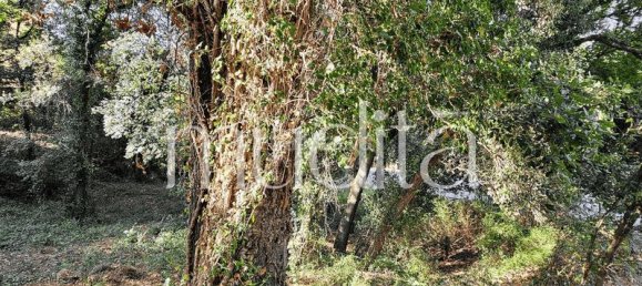 Grundstück in Sant Pere de Vilamajor, Spain 996m², Nr. 190001 20