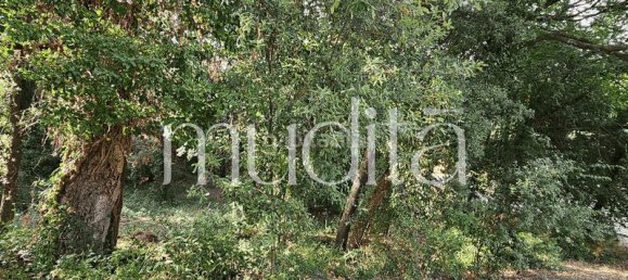 Grundstück in Sant Pere de Vilamajor, Spain 996m², Nr. 190001 3