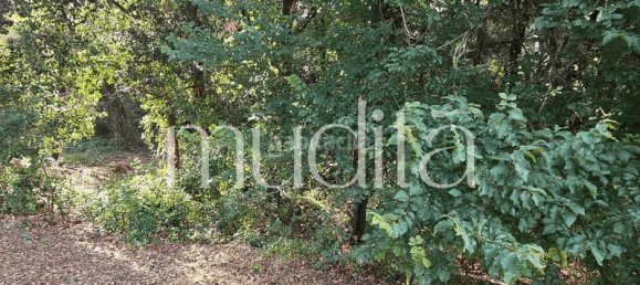 Grundstück in Sant Pere de Vilamajor, Spain 996m², Nr. 190001 19