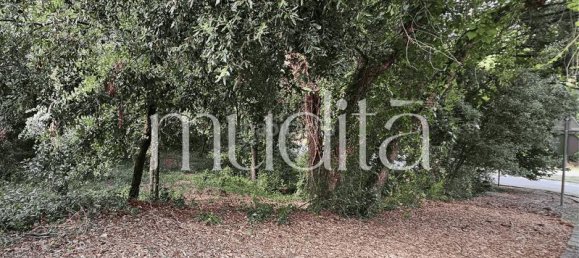 Grundstück in Sant Pere de Vilamajor, Spain 996m², Nr. 190001 2