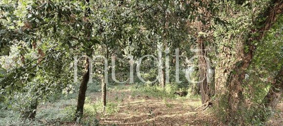 Grundstück in Sant Pere de Vilamajor, Spain 996m², Nr. 190001 5