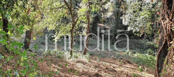 Grundstück in Sant Pere de Vilamajor, Spain 996m², Nr. 190001 21