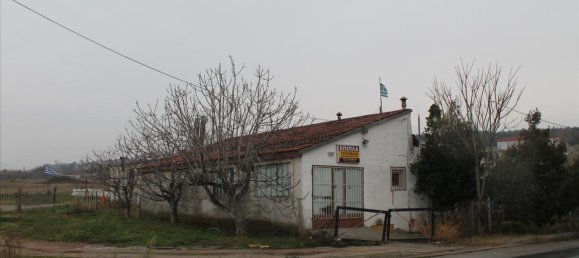 3900m² Hotel in Polichni, Greece No. 5924 5
