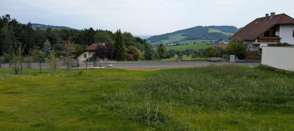  Land in Texingtal, Austria No. 229919 4