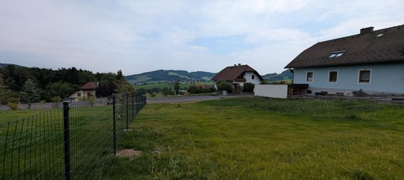  Land in Texingtal, Austria No. 229919 3