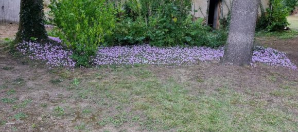 9 chambres Maison à Vatan, France No. 159577 13