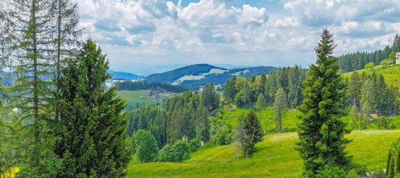 Земельный участок в Фёлькермаркт, Австрия № 162287 8