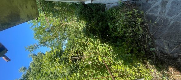 Дом с 7 комнатами в Пеллегрино Парменсе, Италия № 298929 24