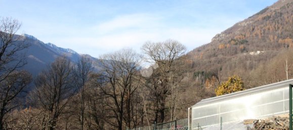 2-Zimmer Haus in Frassino, Italy, Nr. 33716 33