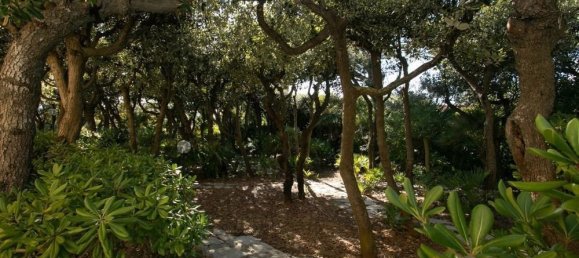 6 Schlafzimmer Villa in Rosignano Marittimo, Italy, Nr. 135424 15