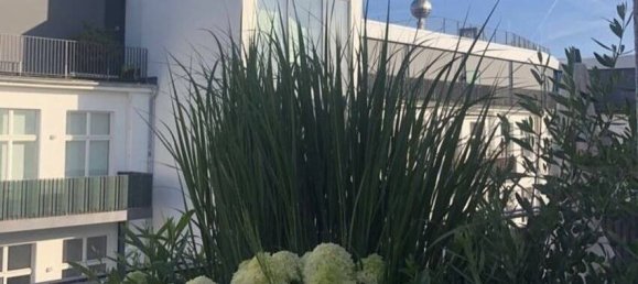 2 غرف نوم بانتهاوس في Mitte, Germany رقم 80662 3