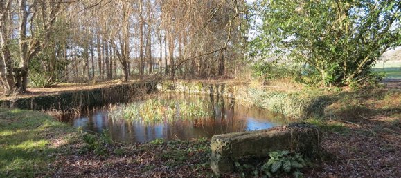 6 chambres Maison à Chevillon-sur-Huillard, France No. 77169 12