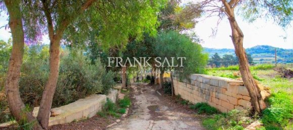  Farm in Wardija, Malta No. 151 12