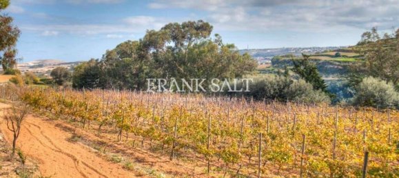  Farm in Wardija, Malta No. 151 10