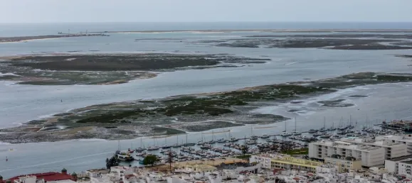 Земельный участок 3485м² в Келфеш, Португалия № 107882 16