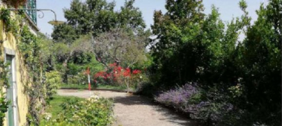 Вилла с 10 комнатами в Сориано нель Чимино, Италия № 166869 16