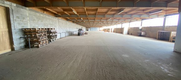 2500m² Commercial property in Le Luart, France No. 102184 2