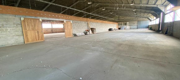 2500m² Commercial property in Le Luart, France No. 102184 3