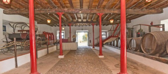 14 bedrooms House in Nazare, Portugal No. 124009 49