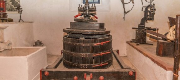 14 bedrooms House in Nazare, Portugal No. 124009 45