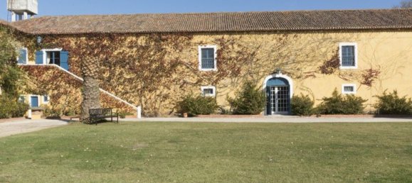 14 bedrooms House in Nazare, Portugal No. 124009 41