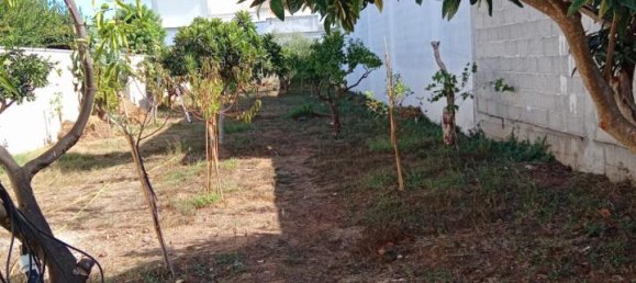 قطعة أرض في Cavallino, Italy 650متر مربع رقم 23863 7