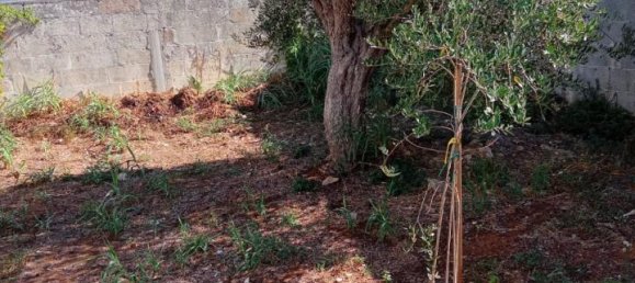 قطعة أرض في Cavallino, Italy 650متر مربع رقم 23863 2