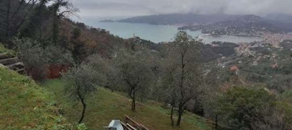 4 bedrooms Apartment in Zoagli, Italy No. 312673 8