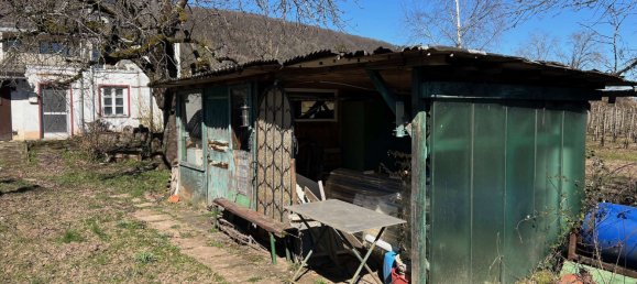 4 chambres Maison de ville à Trier, Germany No. 81201 8