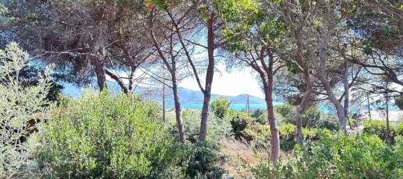 3 Schlafzimmer Villa in Pietrosella, France, Nr. 63690 8