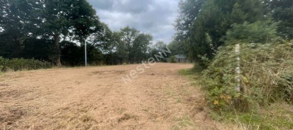 3 غرف نوم منزل في Taupont, France رقم 288325 19